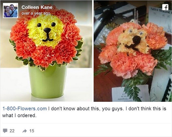online shopping, funny, flower, cyclone, gift, lion