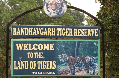 Bandhavgarh tiger reserve image