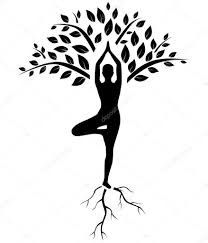 yogasan yoga