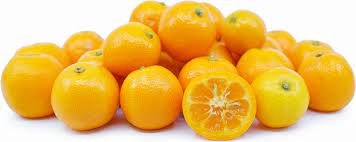 Calamondin Limes Information and Facts