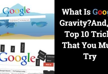 What Is Google Gravity ?