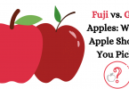 Fuji vs Gala Apples: Which Apple Should You Pick?