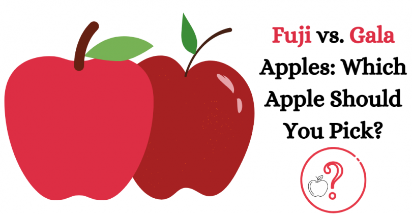 Fuji vs Gala Apples: Which Apple Should You Pick?