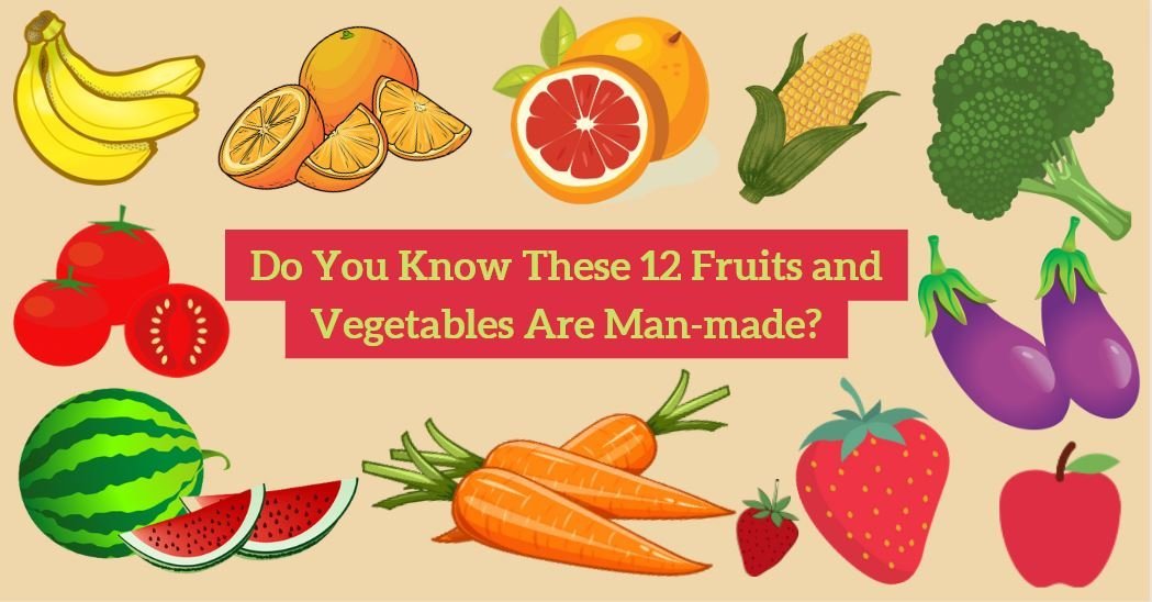 Do You Know These 12 Fruits and Vegetables Are Manmade?