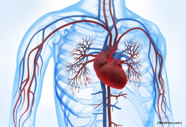 Heart bypass surgery is another title for a specific type of cardiac surgery. In this situation, the procedure is termed formally Coronary Artery Bypass surgery (CABG).