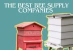 Unveiling The Best Bee Supply Companies Of 2023