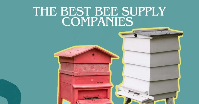 Unveiling The Best Bee Supply Companies Of 2023