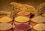 The Millet Revolution in India