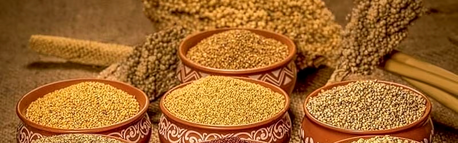 The Millet Revolution in India