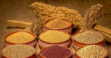 The Millet Revolution in India